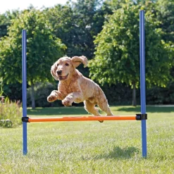 Agility aitaeste Trixie 123 x 115 cm