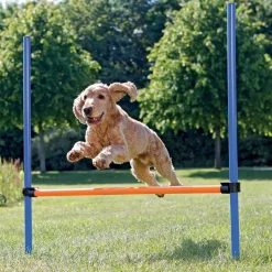 Agility aitaeste Trixie 123 x 115 cm