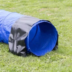 Agility painopussit tunneliin Trixie
