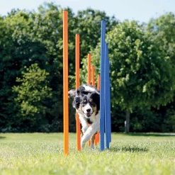 Agility pujottelueste Trixie 12 keppiä