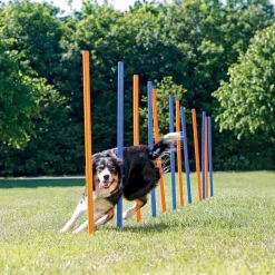 Agility pujottelueste Trixie 12 keppiä