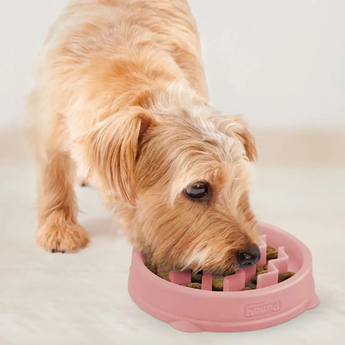 Ahmimisenestokuppi Outward Hound Wave pinkki, S