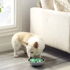 Ahmimisenestokuppi Outward Hound Wobble bowl