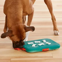 Aktivointilelu Dog Casino, turkoosi