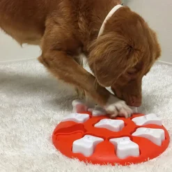 Aktivointilelu Dog Smart, oranssi