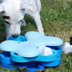 Aktivointilelu Dog Tornado, sininen