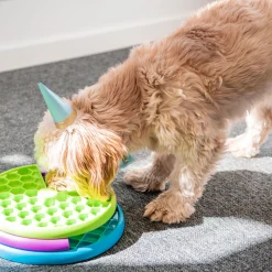 Aktivointilelu Nina Ottosson Lickin' Layers Food Puzzle