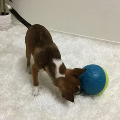 Aktivointilelu Treat Tumble, sininen