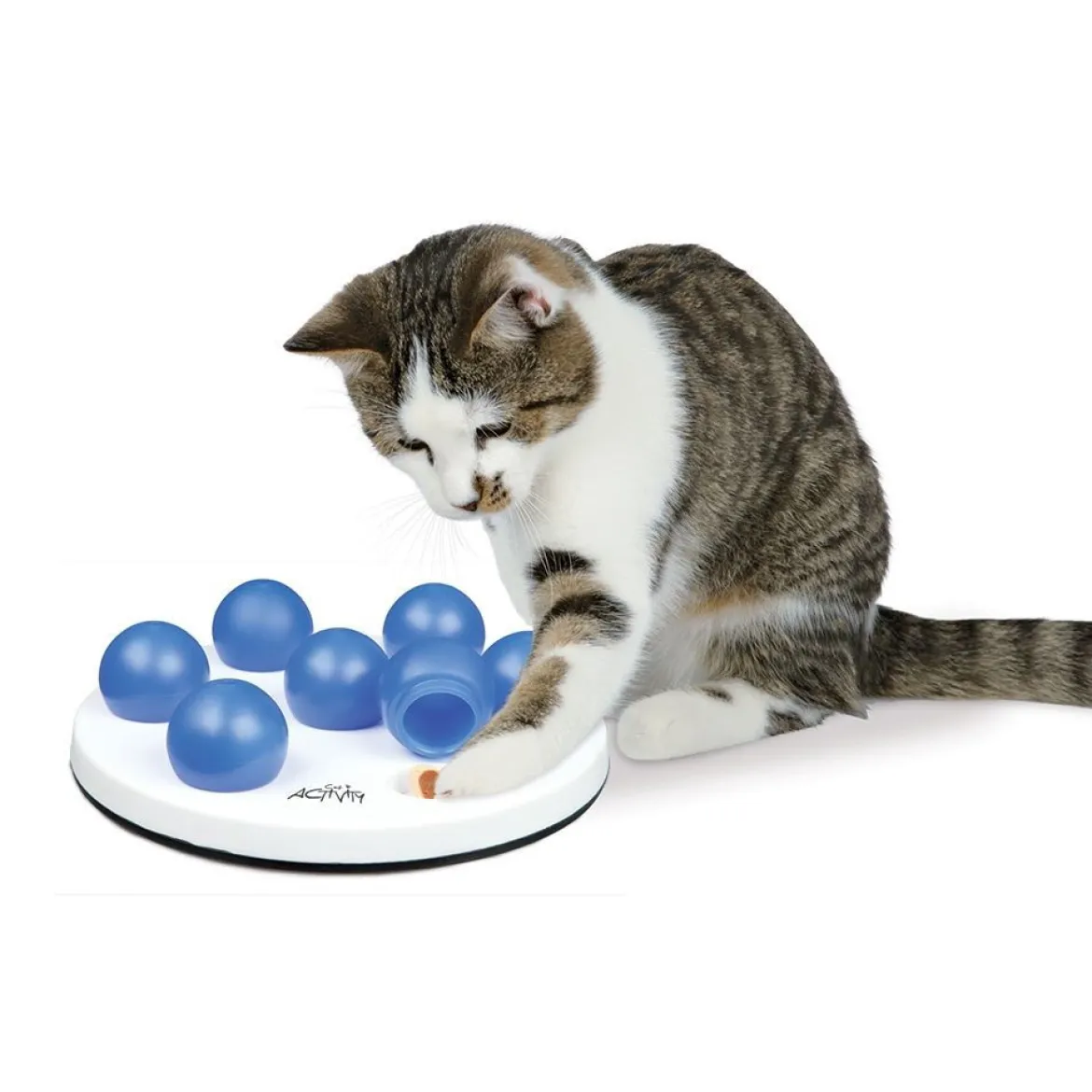 Aktivointilelu Trixie Cat Solitaire