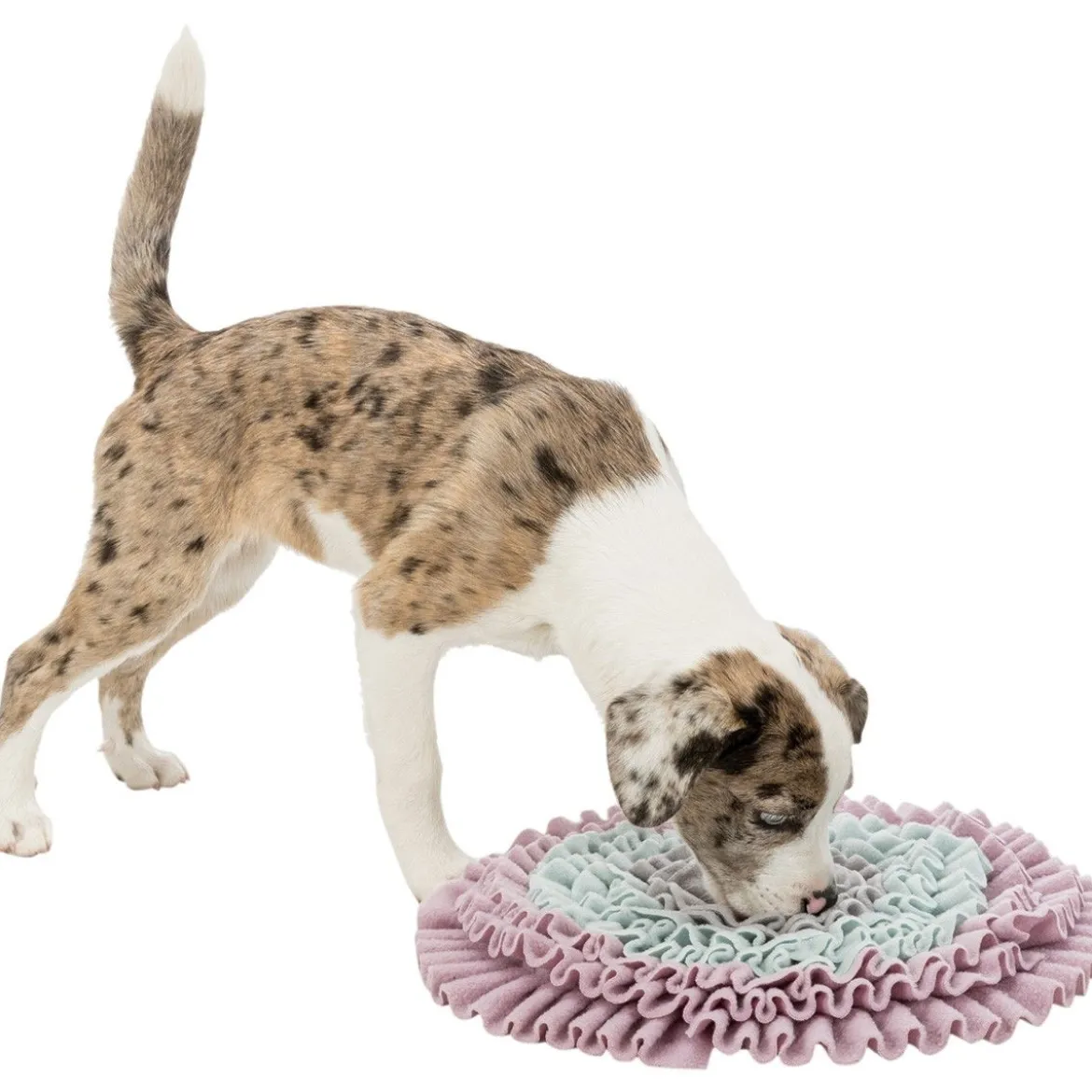 Aktivointimatto Trixie Sniffing Carpet Junior