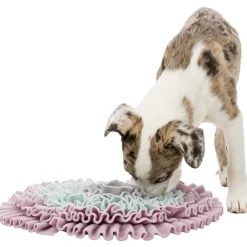 Aktivointimatto Trixie Sniffing Carpet Junior