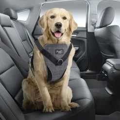 All For Paws koiran autovaljaat