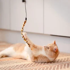 Animal onki Little&Bigger PurePurr 5 lelua