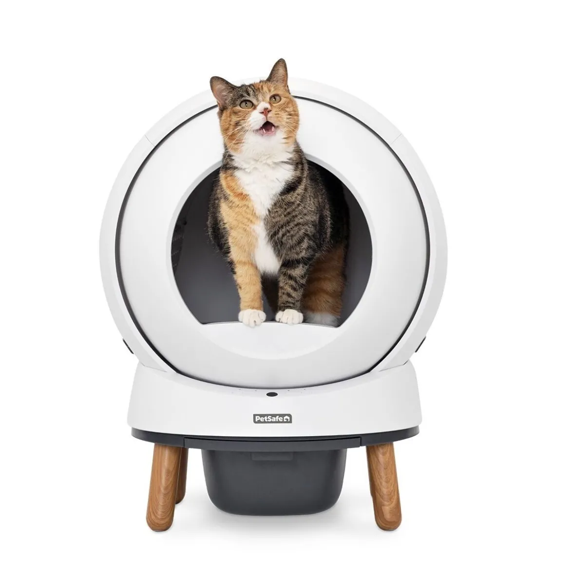 Automaattinen kissanvessa PetSafe SmartSpin