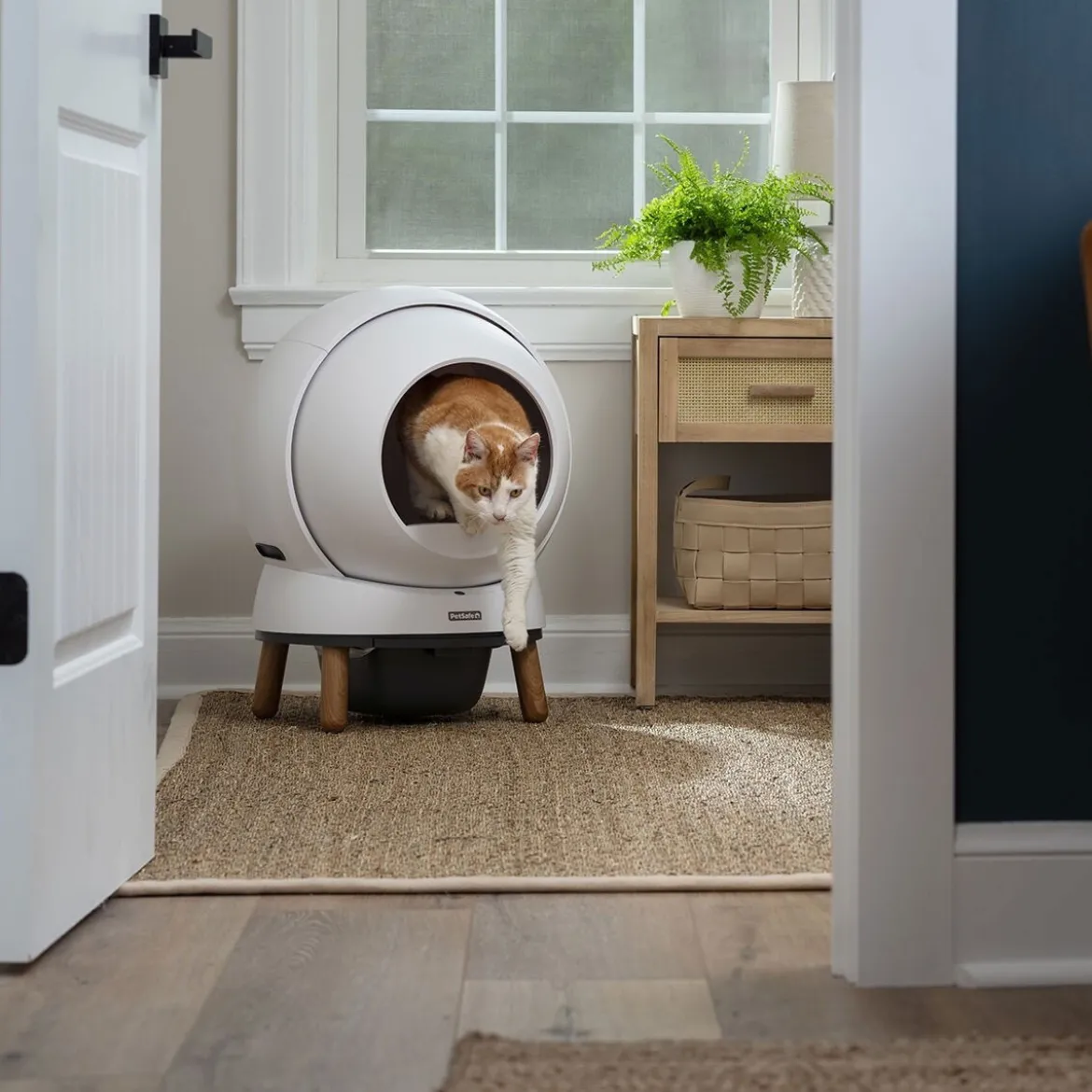 Automaattinen kissanvessa PetSafe SmartSpin