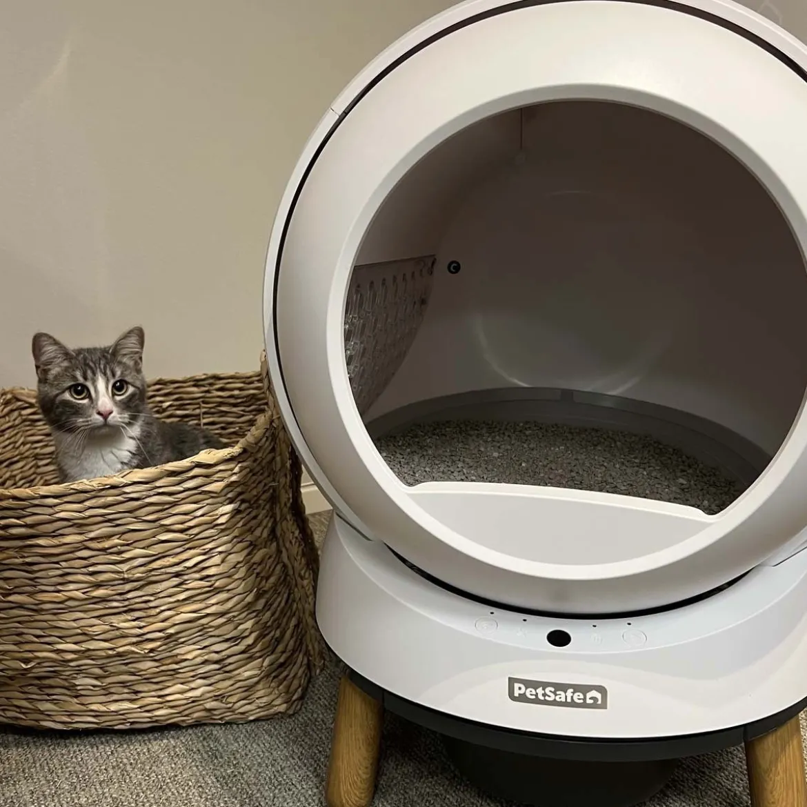 Automaattinen kissanvessa PetSafe SmartSpin