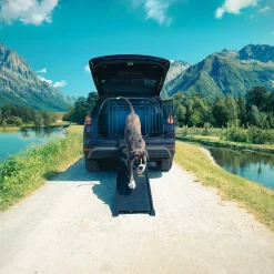 Autoramppi koiralle 4Pets EasySteps