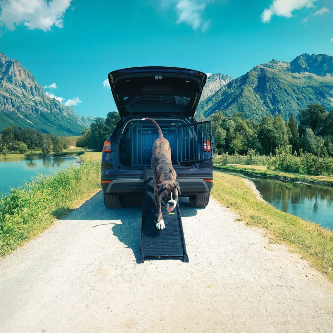 Autoramppi koiralle 4Pets EasySteps