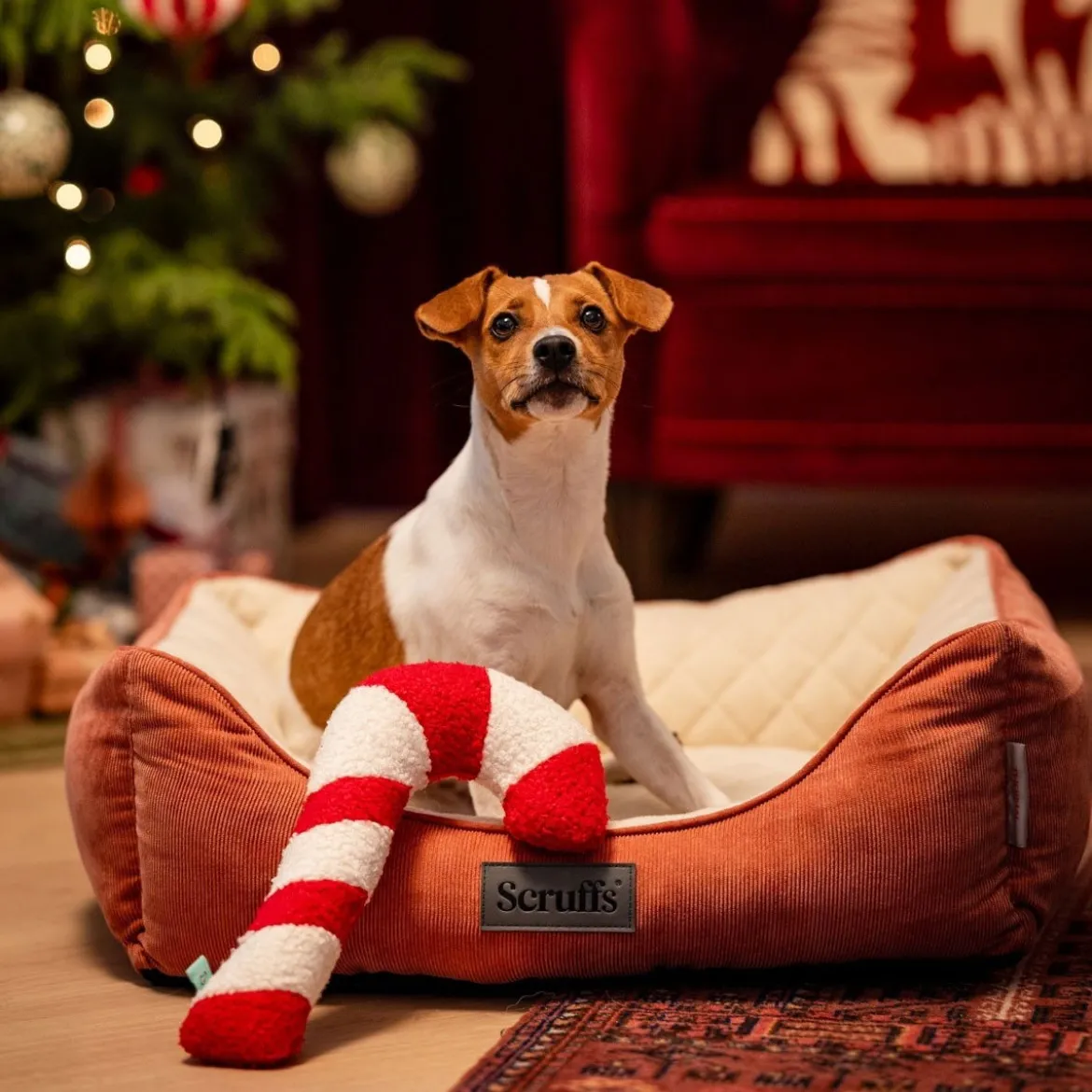 Bark-a-Boo Tufflove Holiday karkkikeppi M