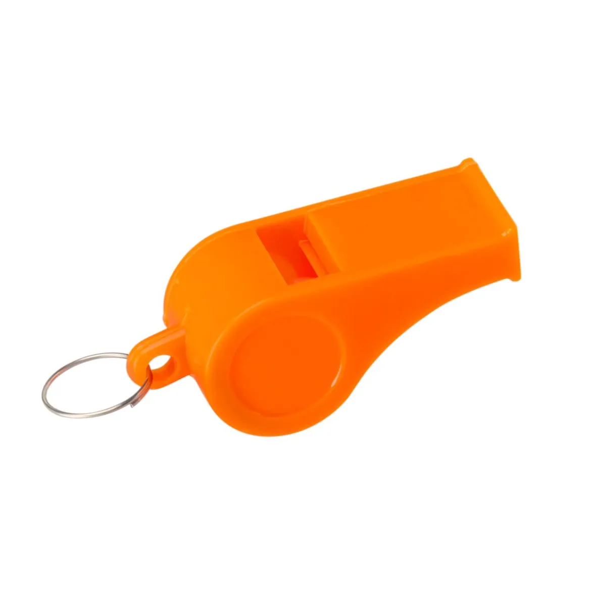 Basic Training -koirapilli