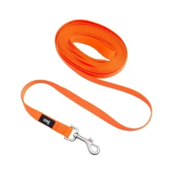 Basic Training koulutusliina koiralle 5 m, oranssi