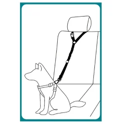 Basic Travel bungee turvavyö pääntukeen