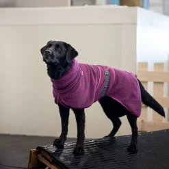BathPomppa, luumu