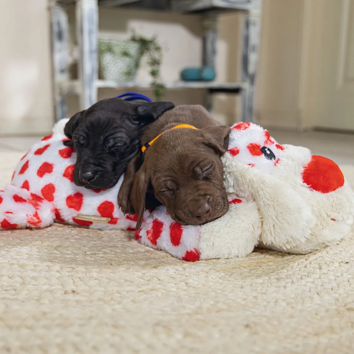 Beeztees Cuddle Toy Suki XL