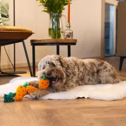 Beeztees Easter Flossy Rope Carrot