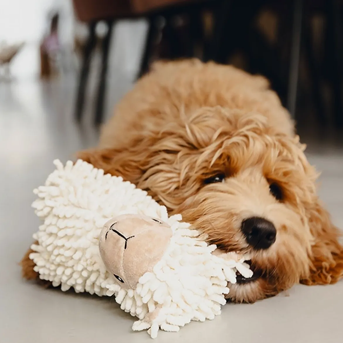 Beeztees Eco Sheep Jovi