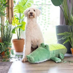 Beeztees Hide N Seek Jungle Crocodile