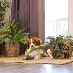 Beeztees Hide N Seek Jungle Snake