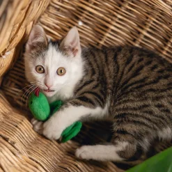Beeztees Jungle Cat Snake Craza