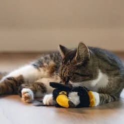 Beeztees Jungle Cat Toucan Kanoe