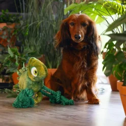 Beeztees Jungle Chameleon Kodi