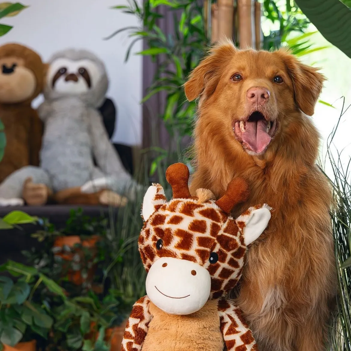 Beeztees Jungle Giraffe