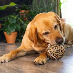 Beeztees Jungle Tennis Ball Panther