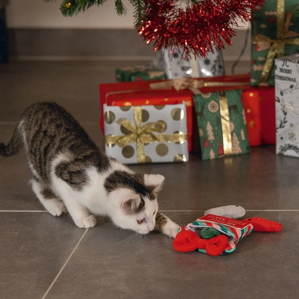 Beeztees Xmas Present Fish