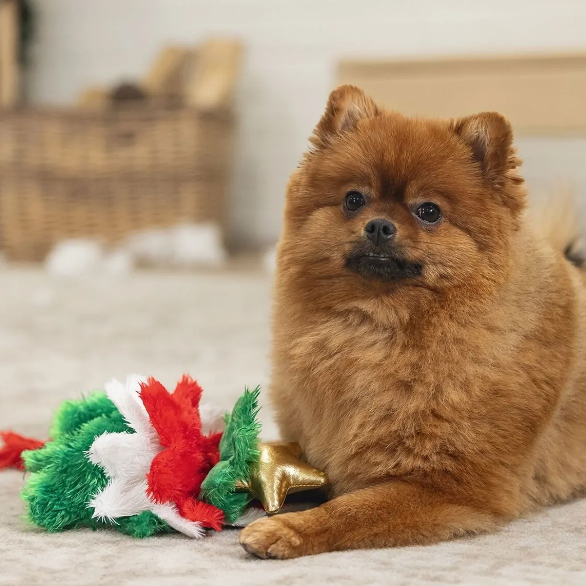 Beeztees Xmas Tree rope toy