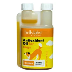 Bellylabs Antioxidanttiöljy 250 ml