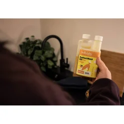 Bellylabs Antioxidanttiöljy 250 ml