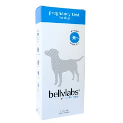 Bellylabs koirien tiineystesti
