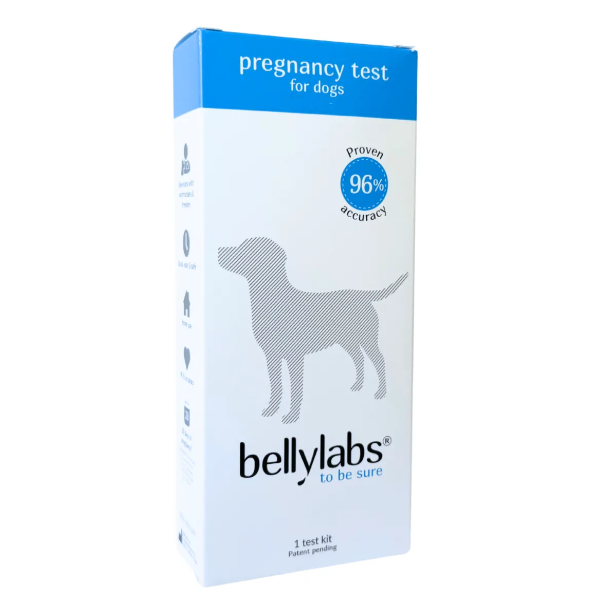 Bellylabs koirien tiineystesti