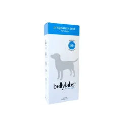 Bellylabs koirien tiineystesti