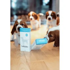 Bellylabs koirien tiineystesti