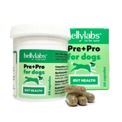 Bellylabs Pre+Pro 60 kapselia