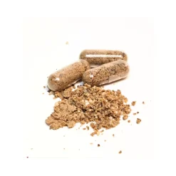 Bellylabs Pre+Pro 60 kapselia