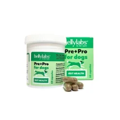 Bellylabs Pre+Pro 60 kapselia