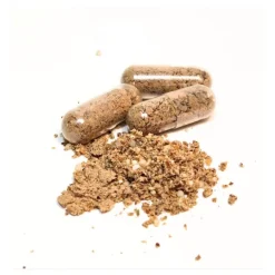 Bellylabs Pre+Pro 60 kapselia