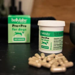 Bellylabs Pre+Pro 60 kapselia